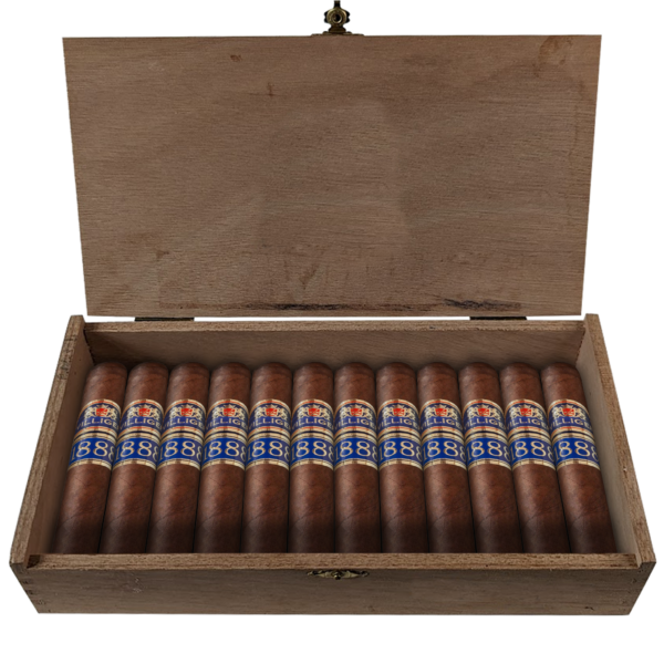 Villiger 1888 Nicaragua Robusto 20er Kiste