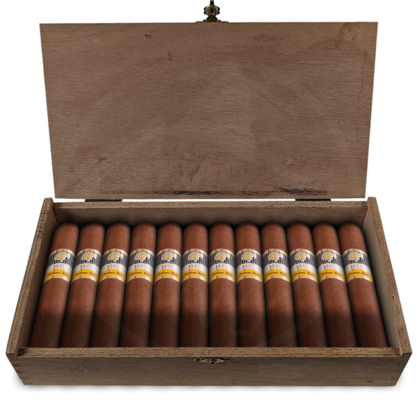 Cohiba Robustos 25er Kiste