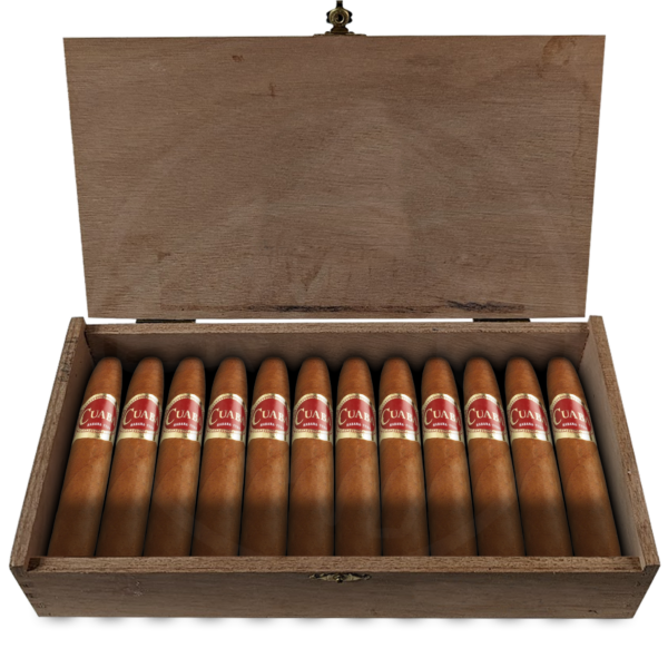 Cuaba Divinos 25er Kiste