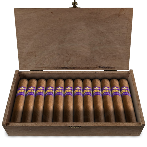 Don Tomás Nicaragua Toro 10er Bundle
