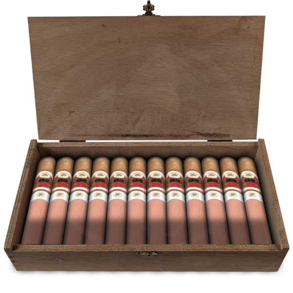 Flor De Copán Classic Titan 20er Kiste