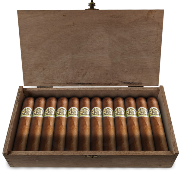 Macanudo Connecticut Hyde Park 10er Kiste