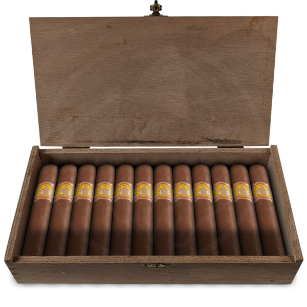 Rey del Mundo Demi Tasse 25er Kiste