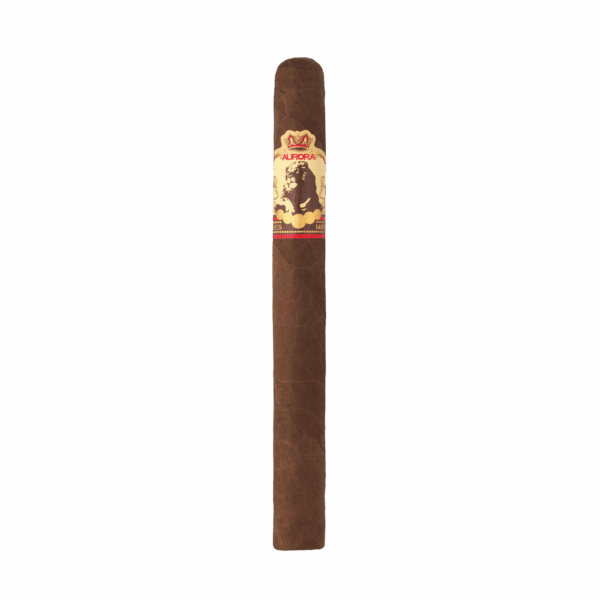 La Aurora 1495 Churchill