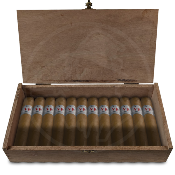 VegaFina Robusto 25er Kiste