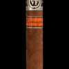Vegafina Nicaragua Reserva Maestros – Bild 6