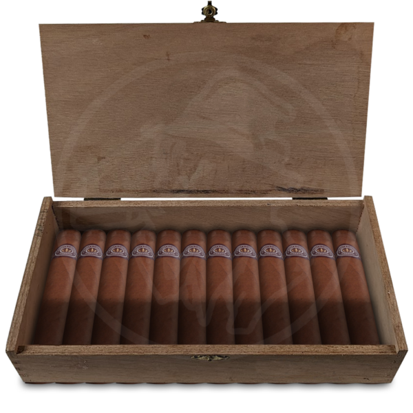 Montecristo Double Edmundo 25er Kiste