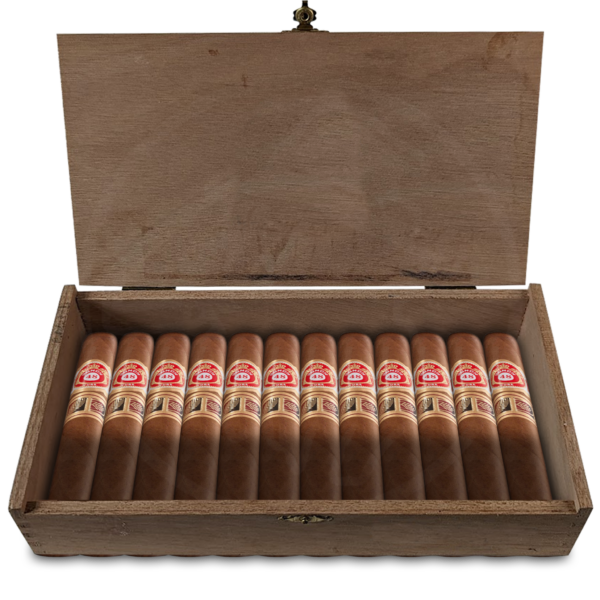 Punch Punch 48 10er Kiste