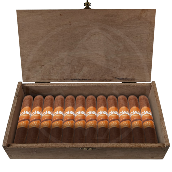 Nicaroma 4x56 20er Kiste