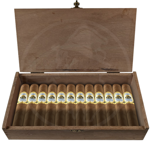 Casa de Torres Robusto 25er Kiste