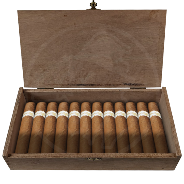 Davidoff Signature Ambassadrice 25er Kiste