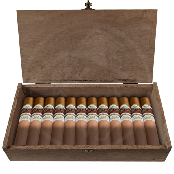 Flor De Copán Classic Demi Tasse 20er Kiste