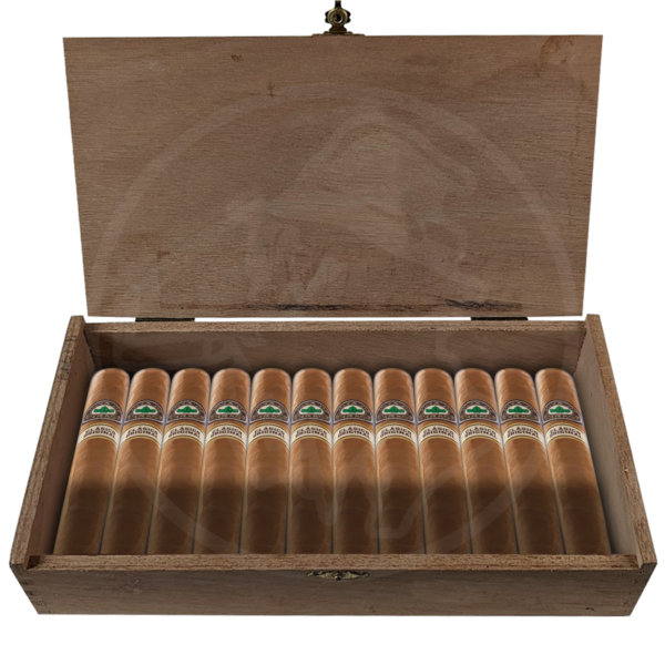 Joya de Nicaragua Clásico Viajante 10er Kiste