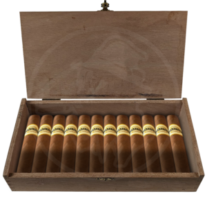 Dominico Corona 10er Bundle