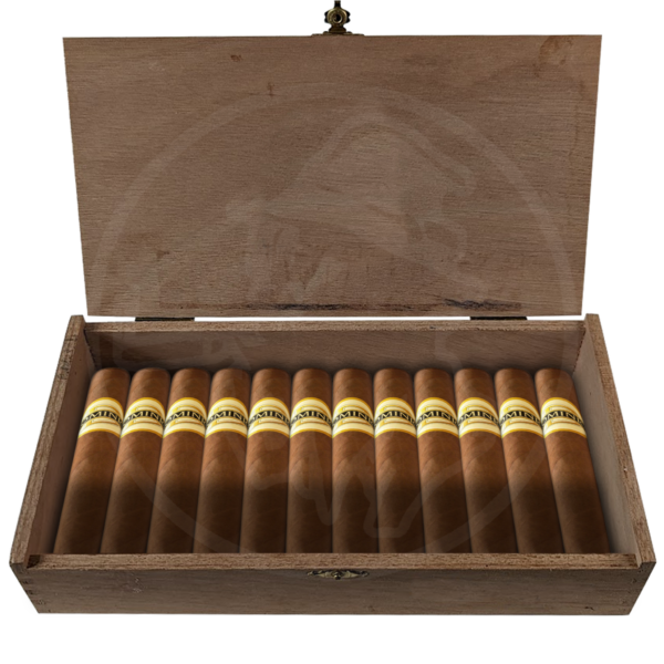 Dominico Corona 10er Bundle