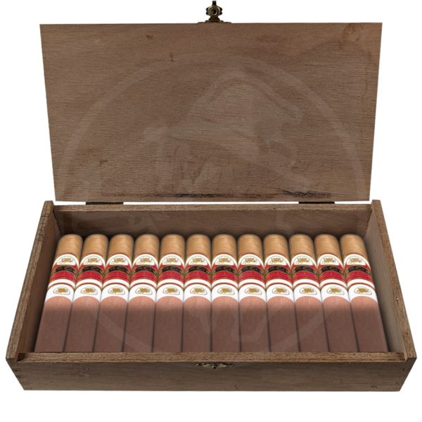 Flor De Copán Classic Corona 20er Kiste