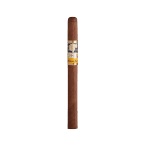 Cohiba Panetelas Zigarre